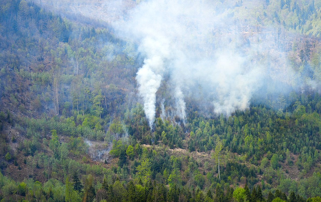Масштабну пожежу у лісах Карпат локалізували на третій день (фото)